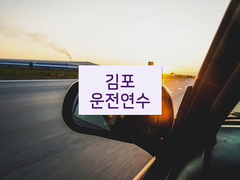 김포운전연수 후기