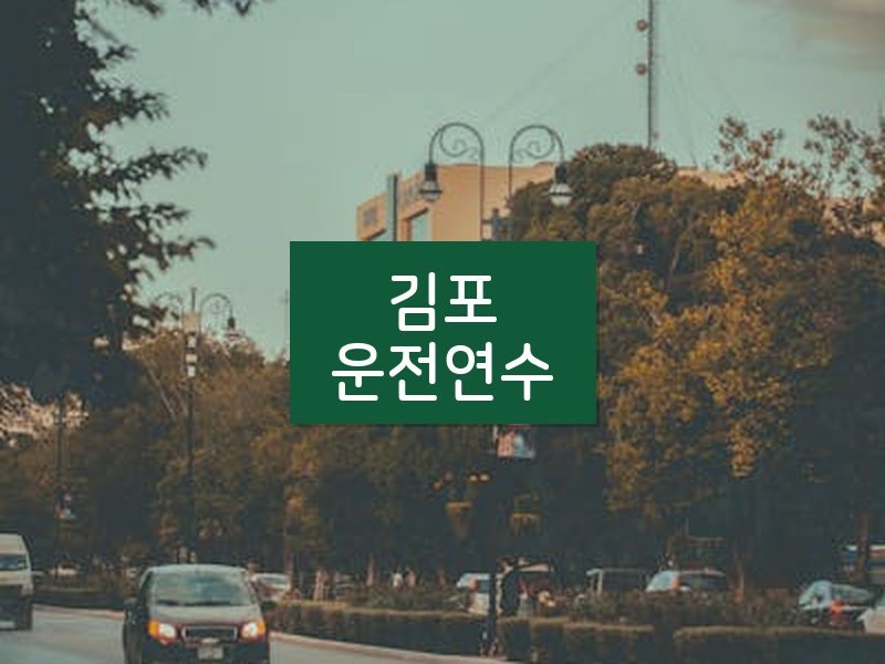 김포운전연수 후기