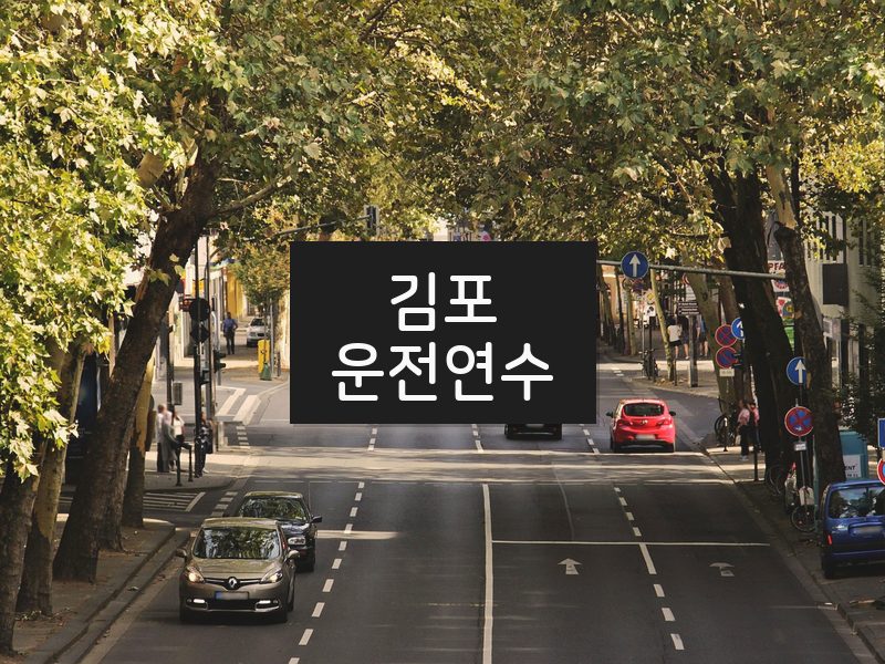 김포운전연수 후기