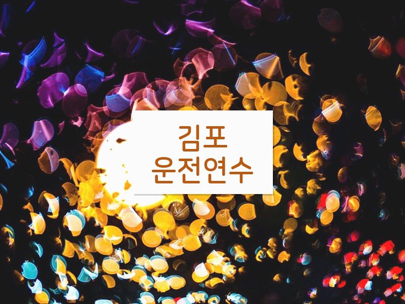 김포운전연수 후기