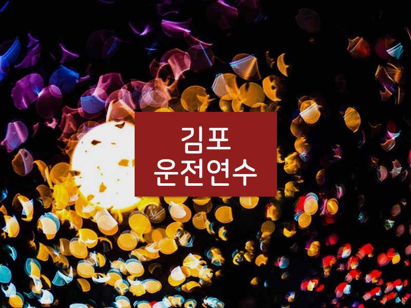김포운전연수 후기
