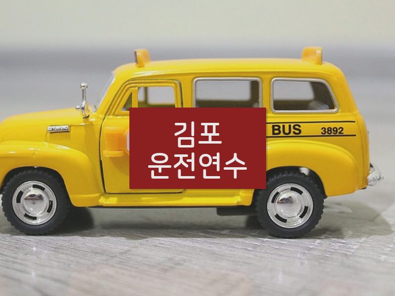 김포운전연수 후기