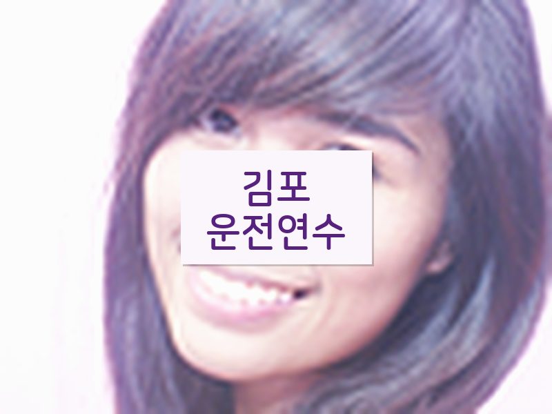 김포운전연수 후기