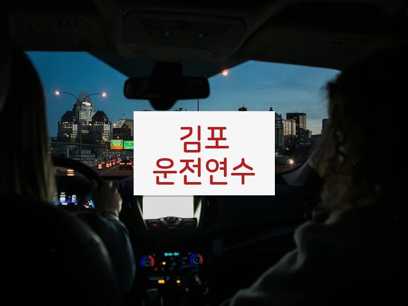 김포운전연수 후기