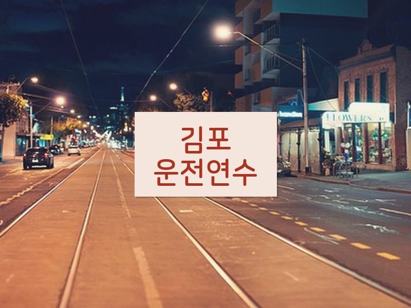 김포운전연수 후기