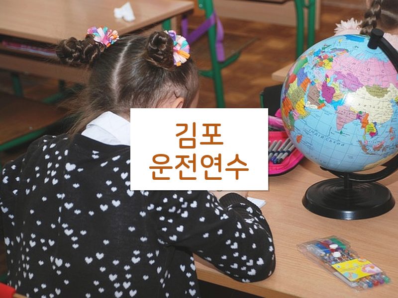 김포운전연수 후기