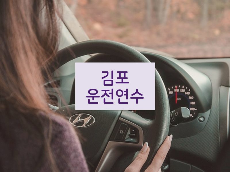 김포운전연수 후기
