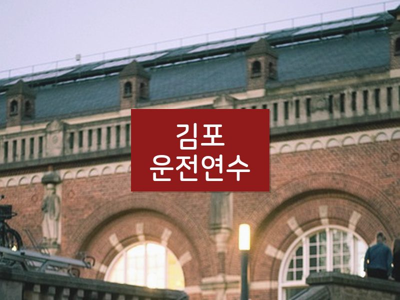 김포운전연수 후기