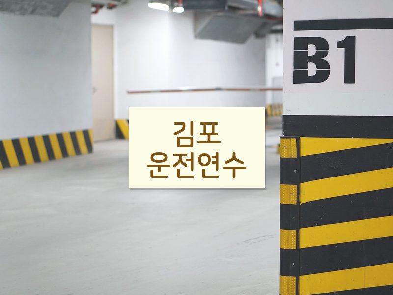 김포운전연수 후기