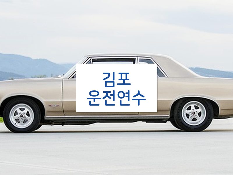 김포운전연수 후기