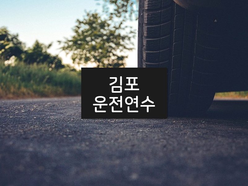 김포운전연수 후기