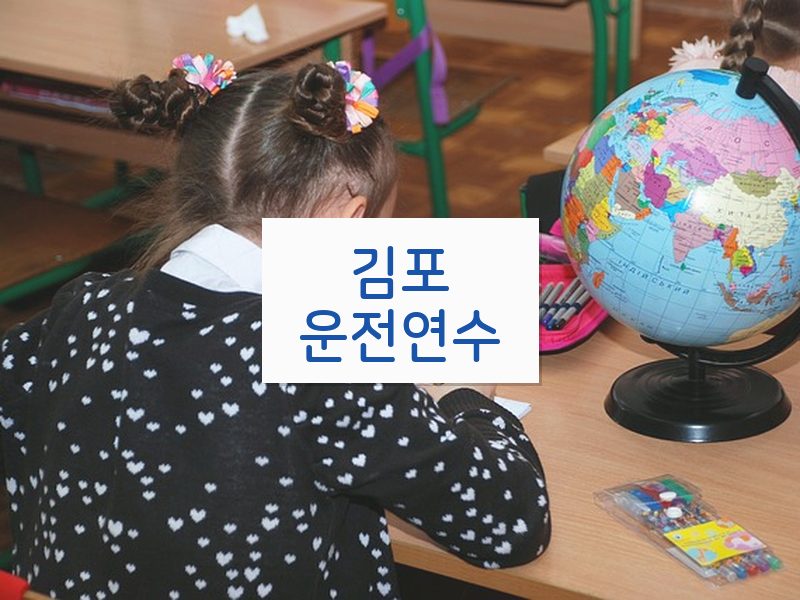 김포운전연수 후기