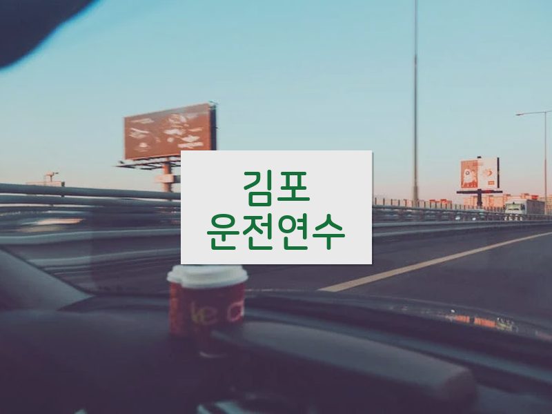 김포운전연수 후기