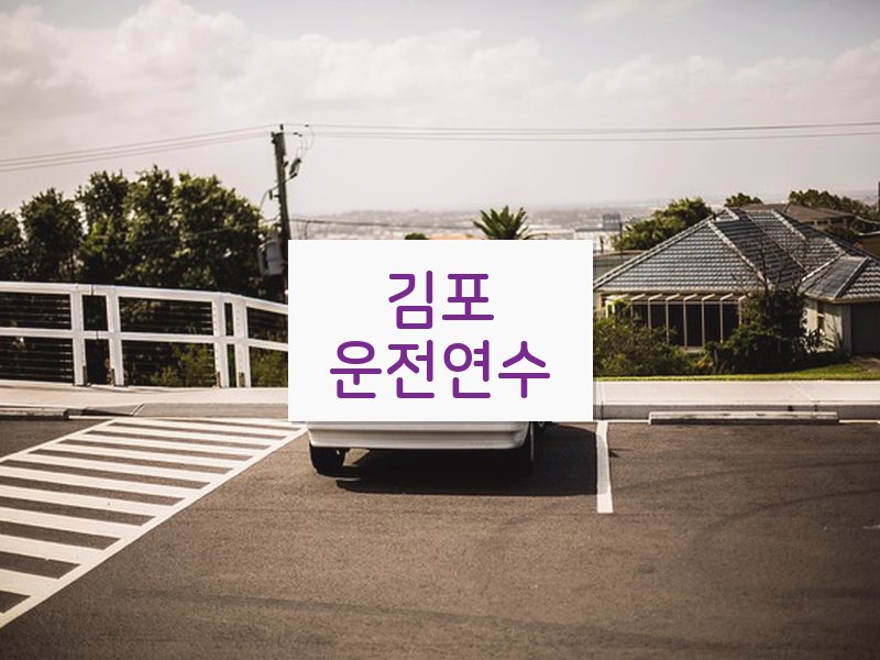 김포운전연수 후기
