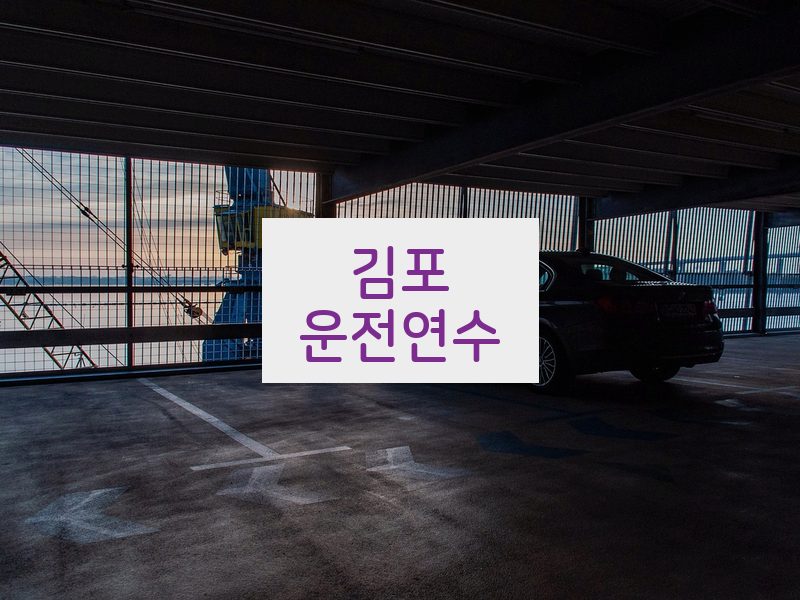 김포운전연수 후기