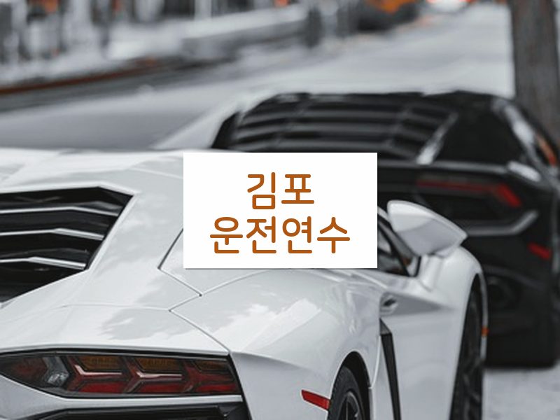 김포운전연수 후기