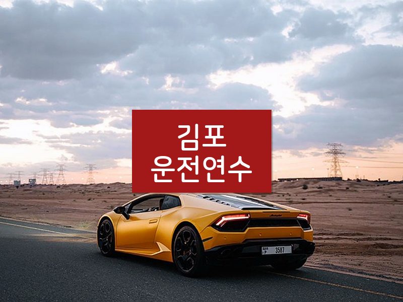 김포운전연수 후기