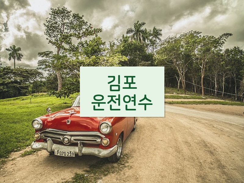 김포운전연수 후기