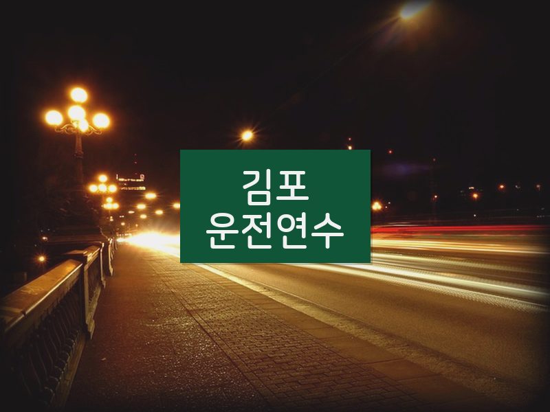 김포운전연수 후기