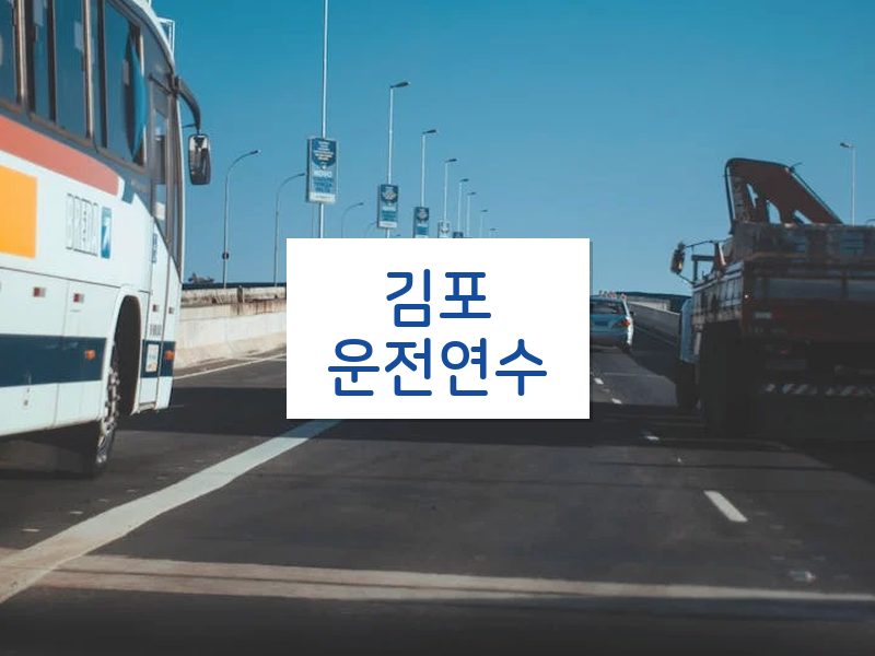 김포운전연수 후기