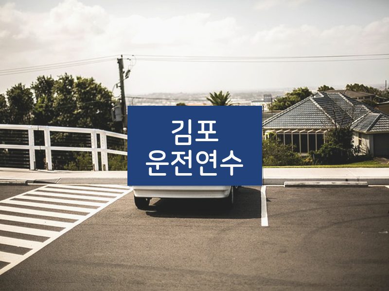 김포운전연수 후기