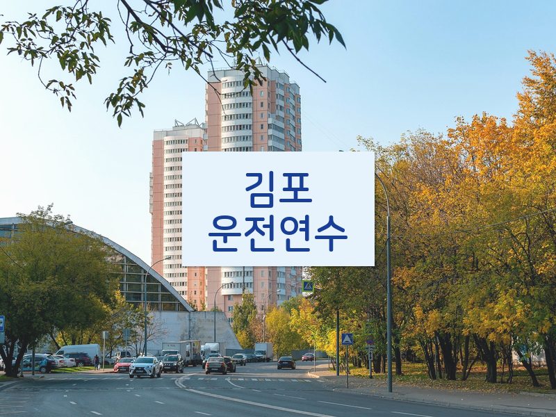 김포운전연수 후기