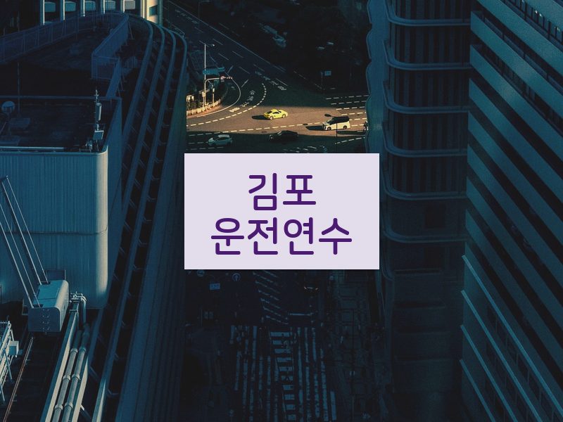 김포운전연수 후기