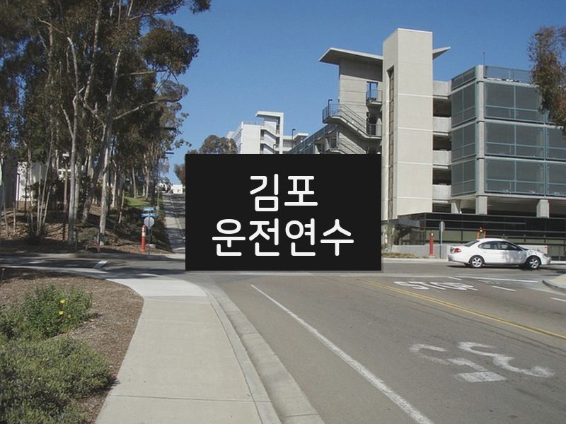 김포운전연수 후기