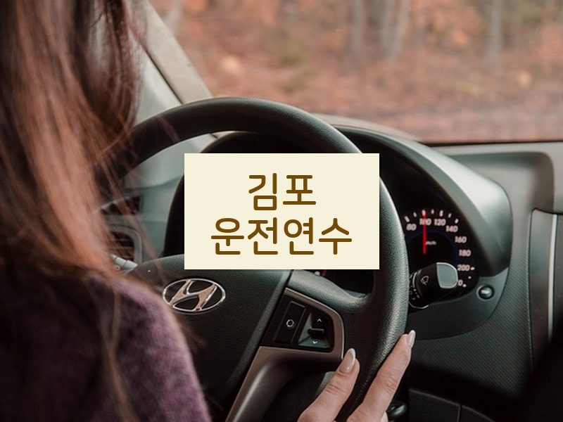 김포운전연수 후기