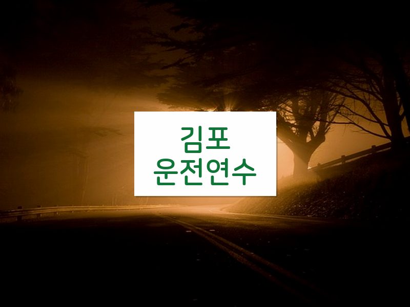 김포운전연수 후기