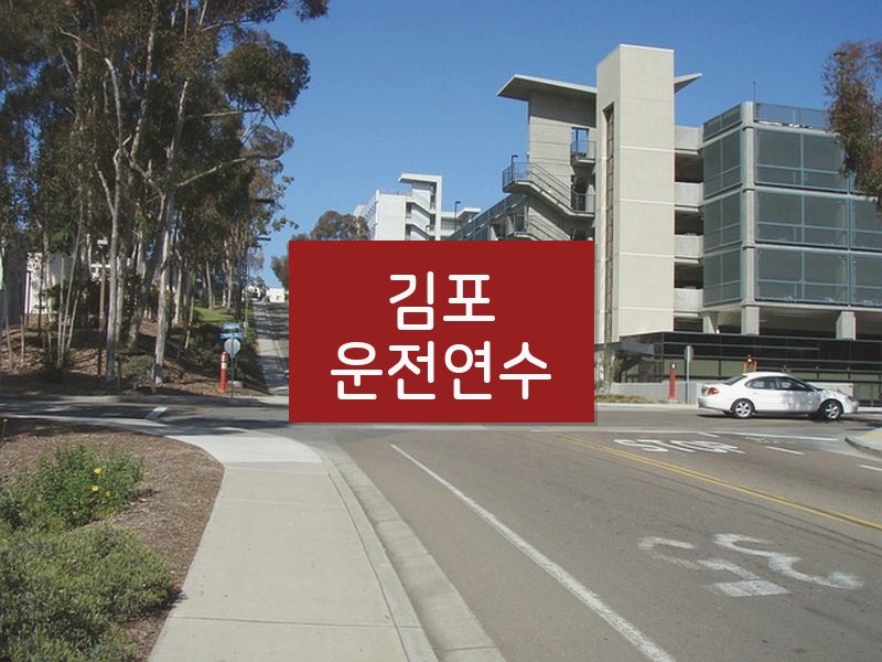 김포운전연수 후기