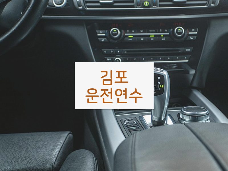 김포운전연수 후기