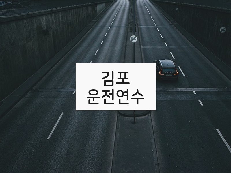 김포운전연수 후기