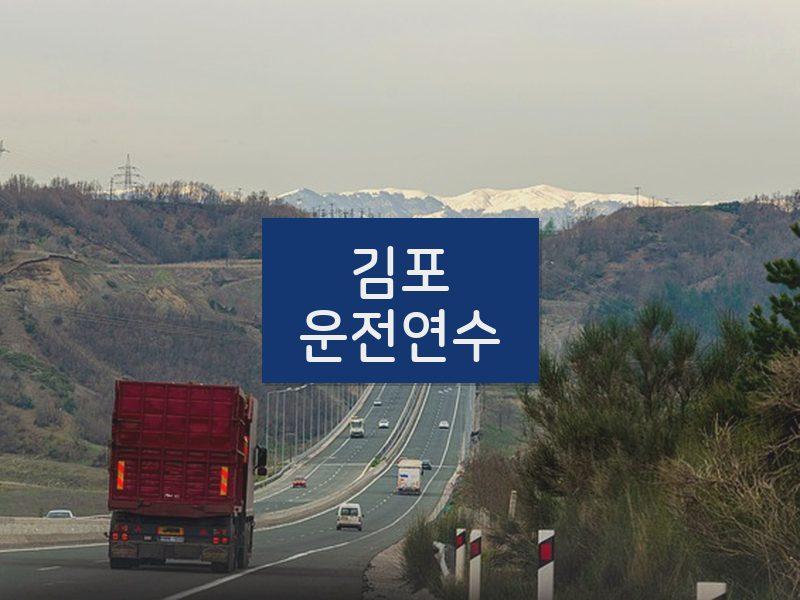 김포운전연수 후기