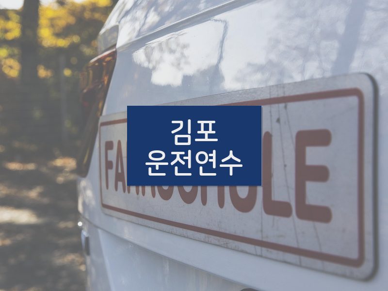 김포운전연수 후기