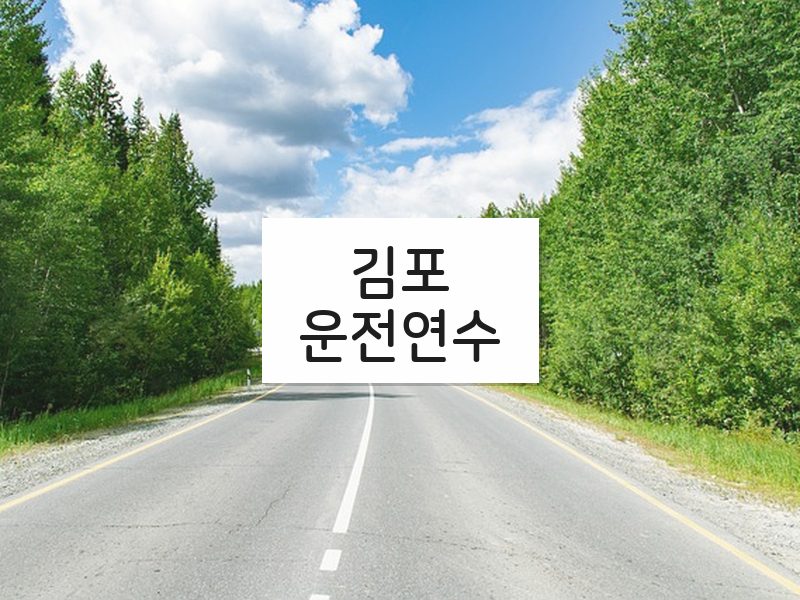 김포운전연수 후기