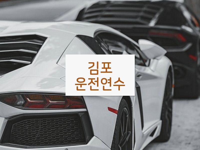 김포운전연수 후기