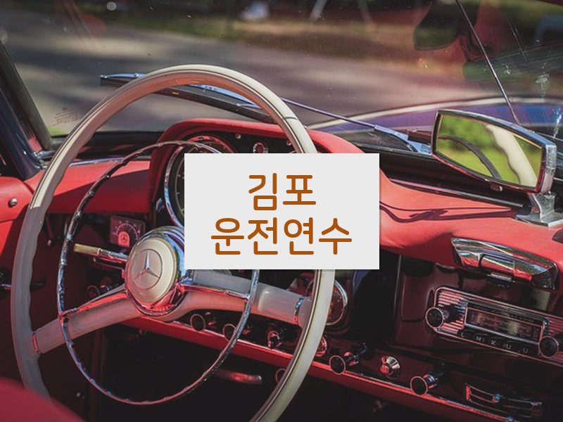 김포운전연수 후기