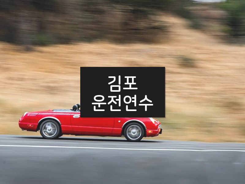 김포운전연수 후기