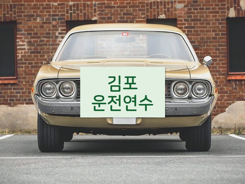 김포운전연수 후기