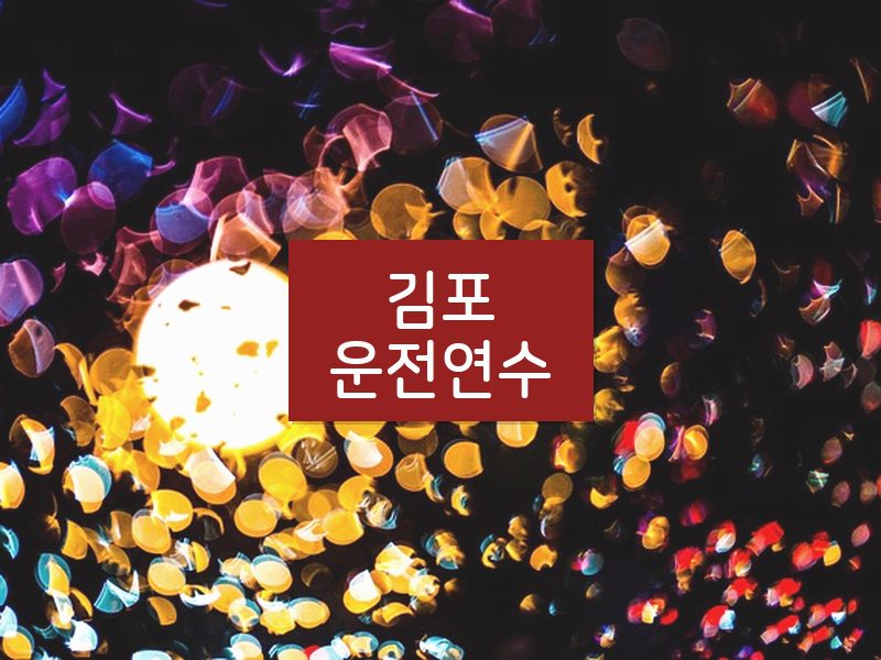 김포운전연수 후기
