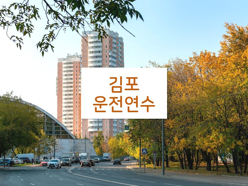 김포운전연수 후기