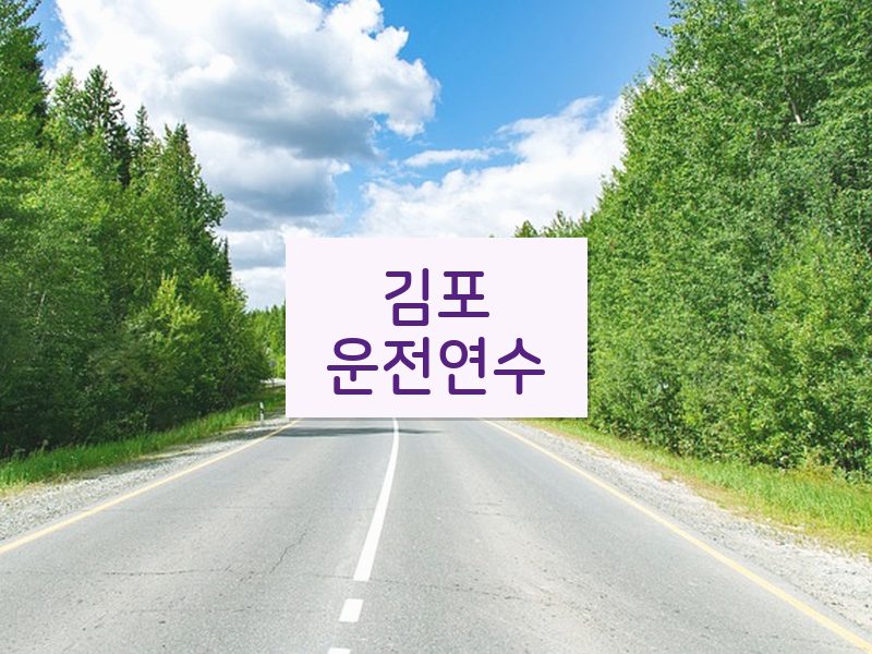 김포운전연수 후기