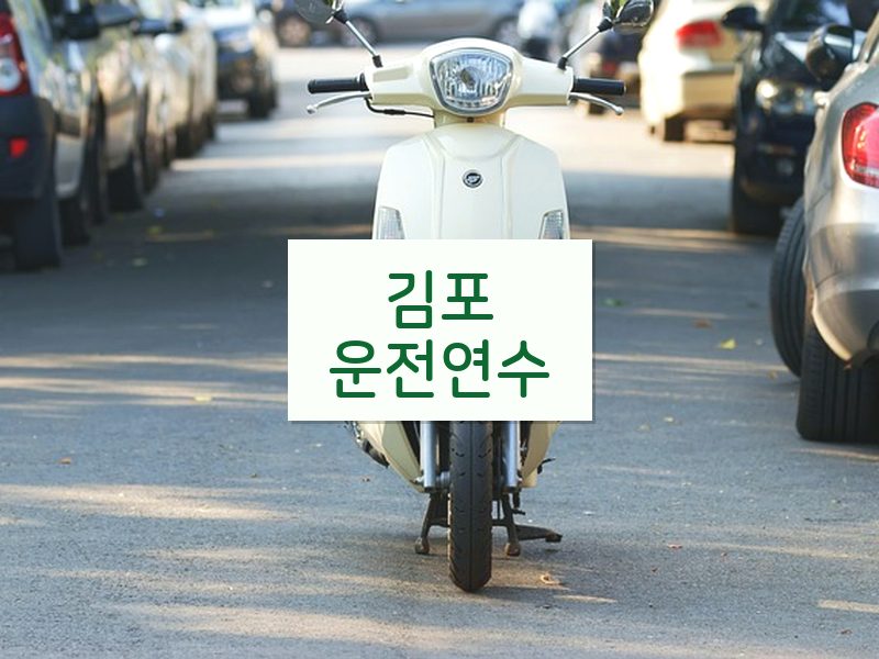 김포운전연수 후기