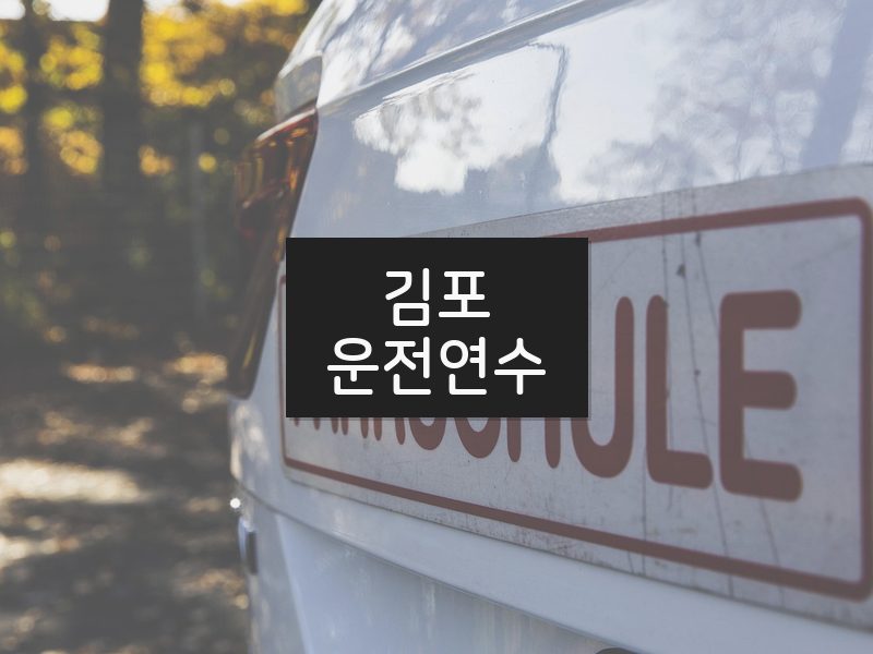 김포운전연수 후기