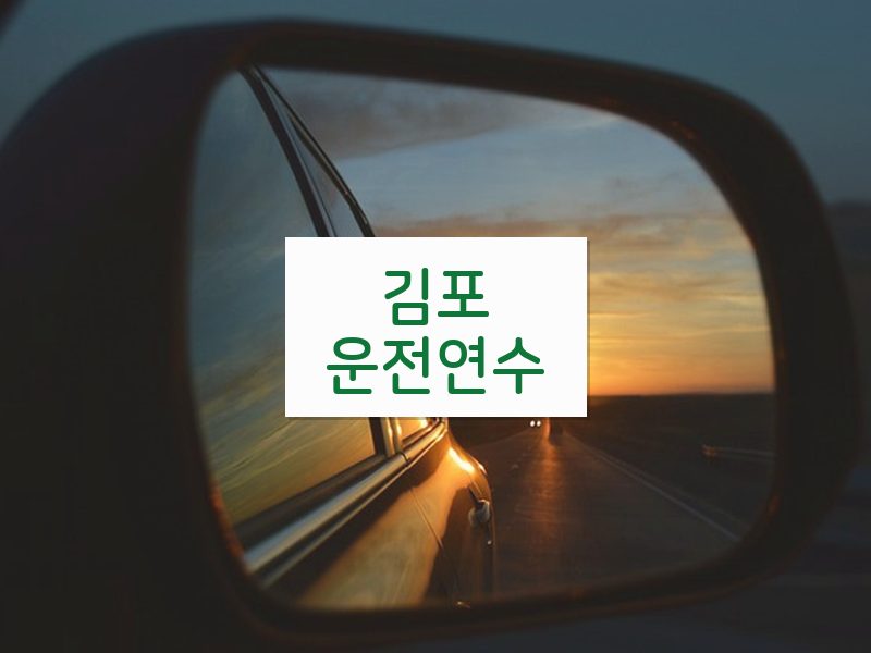 김포운전연수 후기
