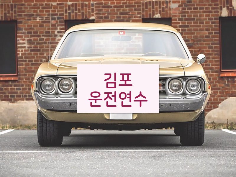 김포운전연수 후기
