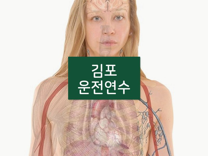 김포운전연수 후기
