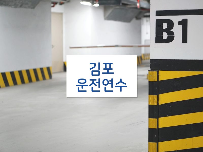 김포운전연수 후기