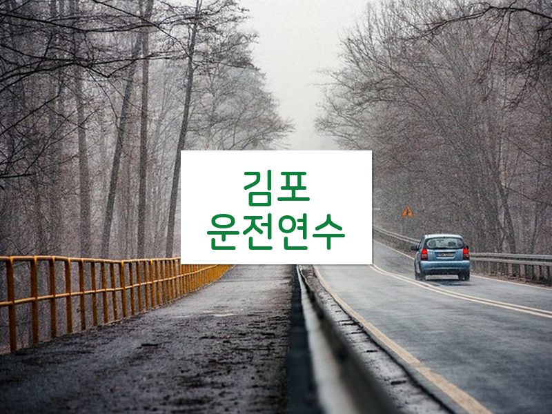 김포운전연수 후기
